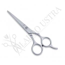 Economy Hair Scissors