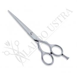 Economy Hair Scissors